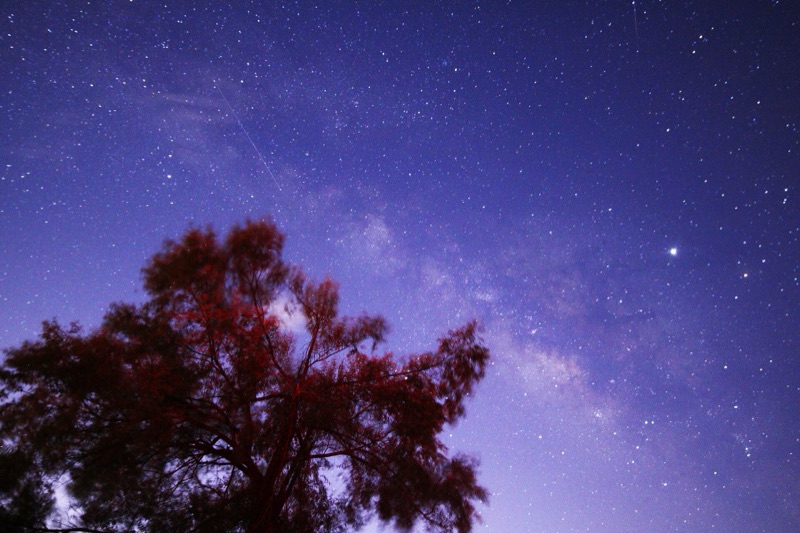 Anji County Starry Sky