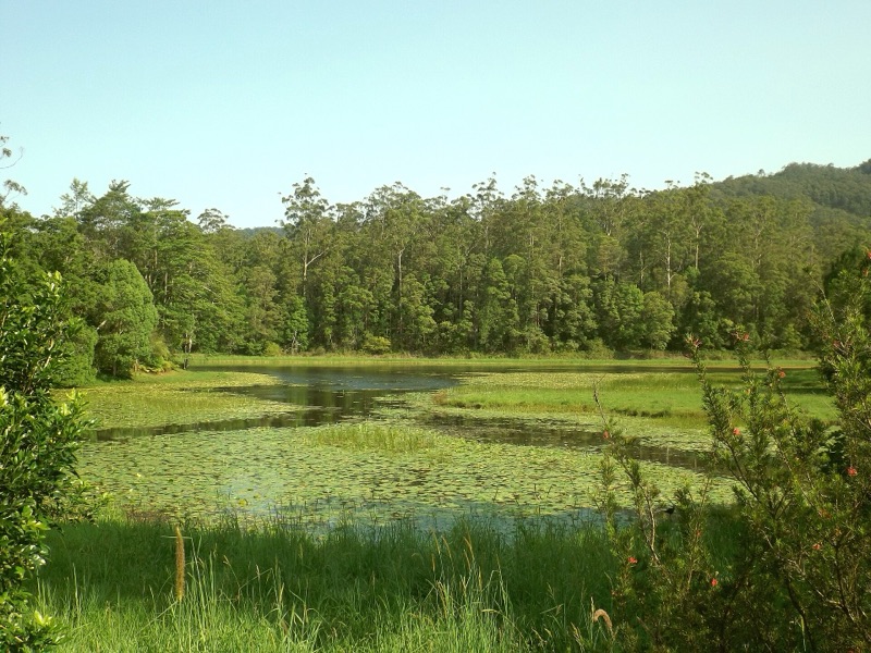 Tallebudgera Creek Dam, Tallebudgera Valley, Queensland