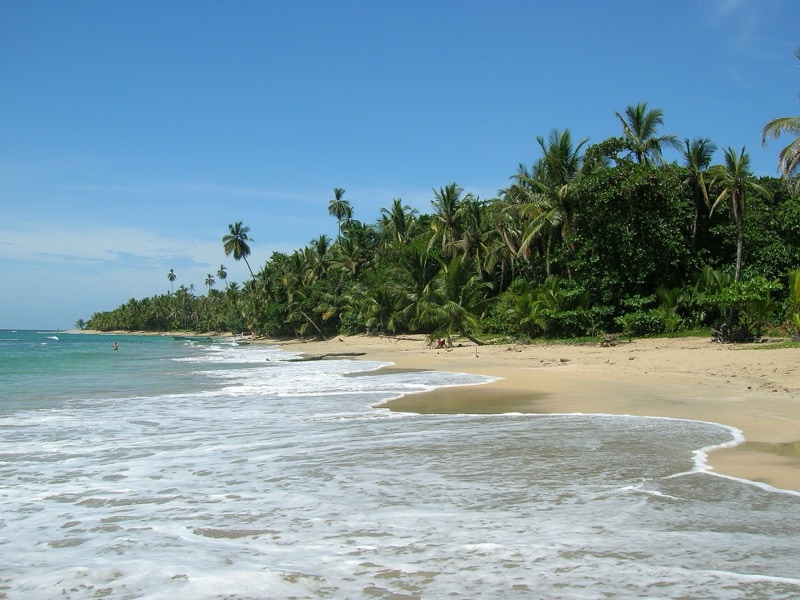 Palm-fringed Playa Punta Uva near Cocles on Costa Rica's Caribbean coast