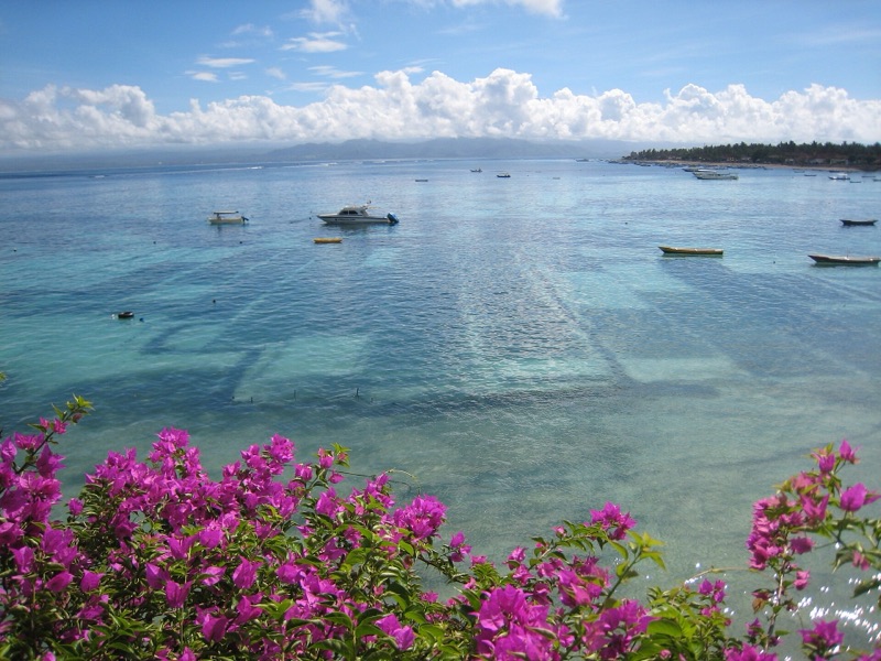 Bougainvillea above the turquoise shallows of Nusa Lembongan, Bali