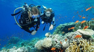 two women enjoying scuba diving